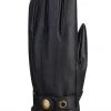 Auclair Men's Brody Glove