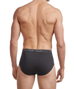 Stanfields Men's Premium Modern Fit Brief - 2 Pack