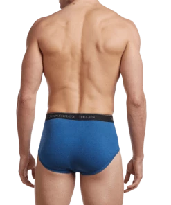 Stanfields Men's Premium Modern Fit Brief - 2 Pack
