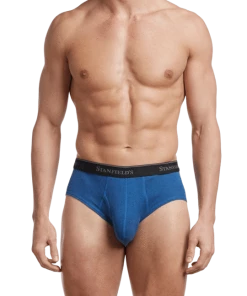 Stanfields Men's Premium Modern Fit Brief - 2 Pack