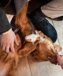 Birkenstock Boston Shearling Black Clog - Regular 22 Birkenstock Boston Shearling Black Clog - Regular