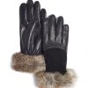 Brume Oxford County Glove