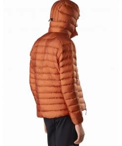 Arc'teryx Men's Cerium LT Hoody