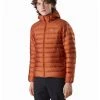 Arc'teryx Men's Cerium LT Hoody