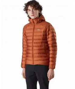 Arc'teryx Men's Cerium LT Hoody