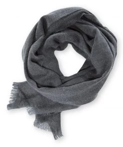 Accessories Pistil Men's Dane Scarf