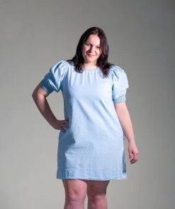 Velvet Naomi Chambray Shift Dress