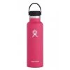 Hydro Flask 21oz Standard Mouth Bottle With Flex Cap