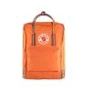 Fjall Raven FJÄLLRÄVEN Kanken Rainbow Backpack 2 Fjall Raven FJÄLLRÄVEN Kanken Rainbow Backpack