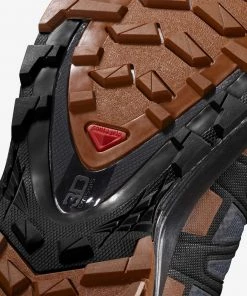 Salomon Men's XA Pro 3D V8 GTX Wide Trail Running Shoes