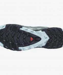 Salomon Women's XA Pro 3D V8 GTX Trail Running Shoe