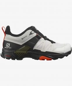 Salomon Men's X Ultra 4 GTX Hiking Shoe