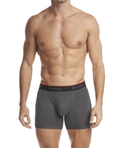 Stanfields Men's Stretch Boxer Brief - 2 Pack Men's Undergarments