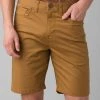 Prana Men's Bronson Short 9"
