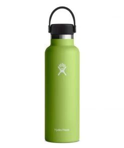 Hydro Flask 21oz Standard Mouth Bottle With Flex Cap